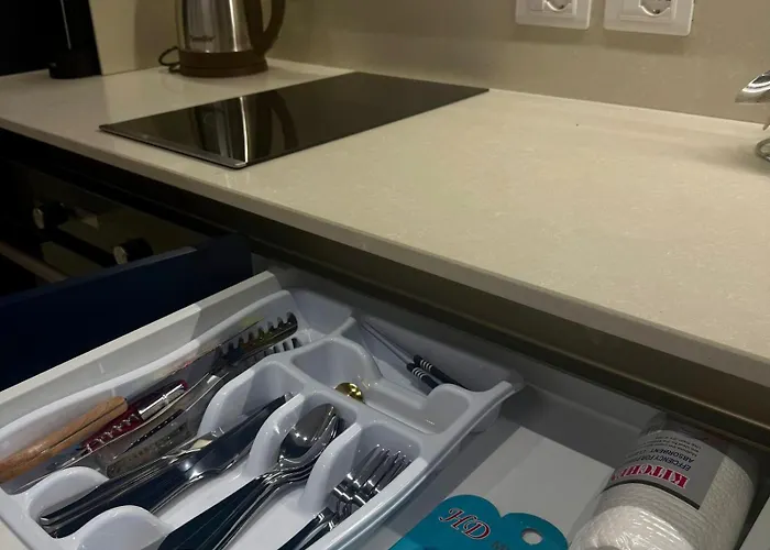 Center Sav Blavus Apartman Tirana